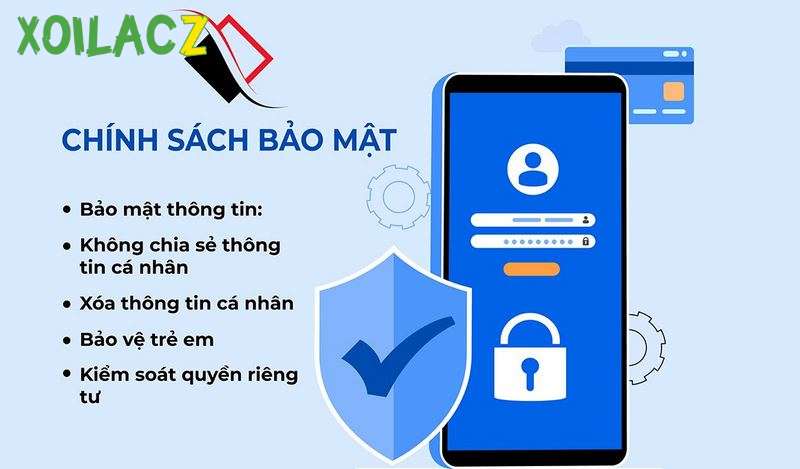 Chính sách bản quyền sở hữu trí tuệ