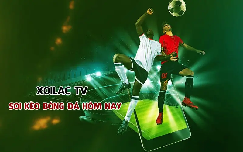 Tại Sao Nên Theo Dõi Tỷ Lệ Kèo Trên Xoilac TV?